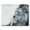 Oppidan Home "Observing Lion" Acrylic Wall Art (32"H x 48"W)