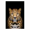 Oppidan Home "Spotted Leopard" Acrylic Wall Art (48"H x 32"W)