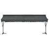 Free Standing Awning 236.2"x118.1" Anthracite