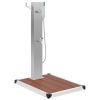 Outdoor Shower with Tray WPC Stainless Steel